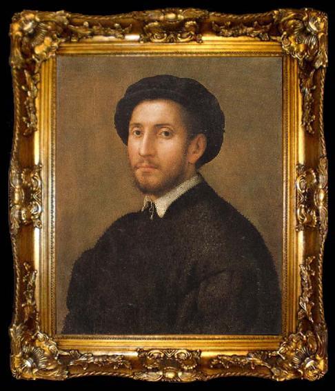 framed  FOSCHI, Pier Francesco Portrait of a Man, ta009-2